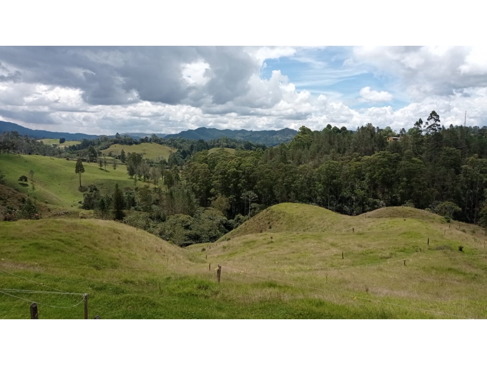 Lote en Venta Sector Pantanillo Parcelación Nueva, el Retiro — foto 3