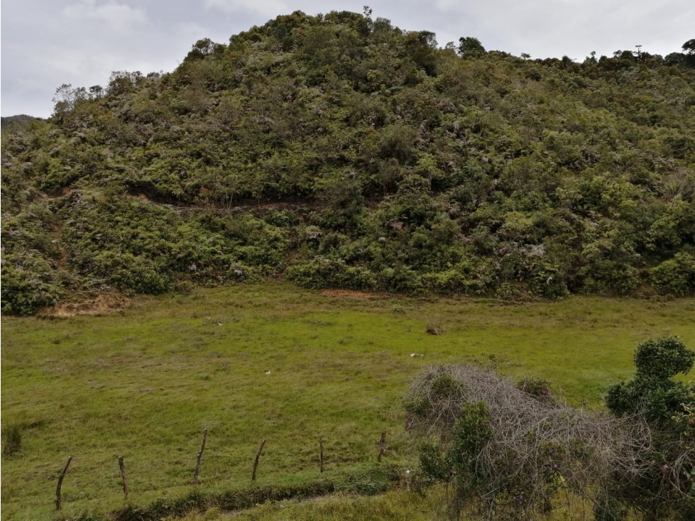 Venta de lote sector Montegrande - San Vicente — foto 4