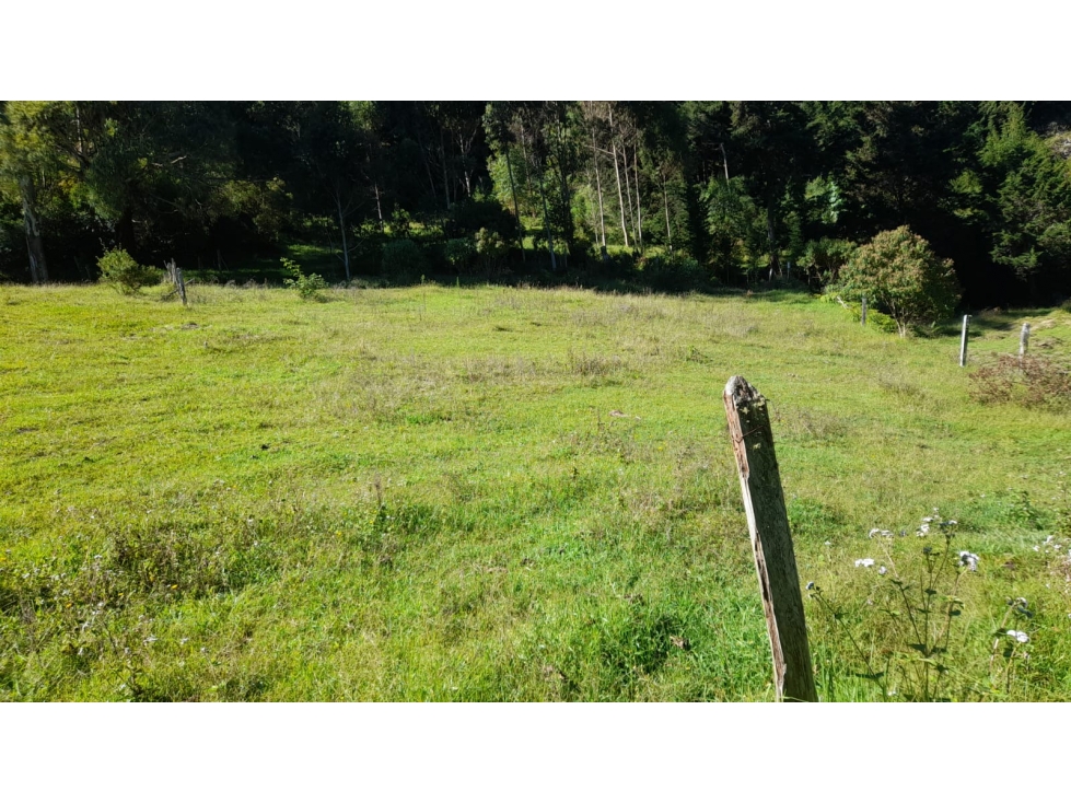 Casa Finca en Venta Sector Las Piedras, La Ceja Antioquia — foto 4