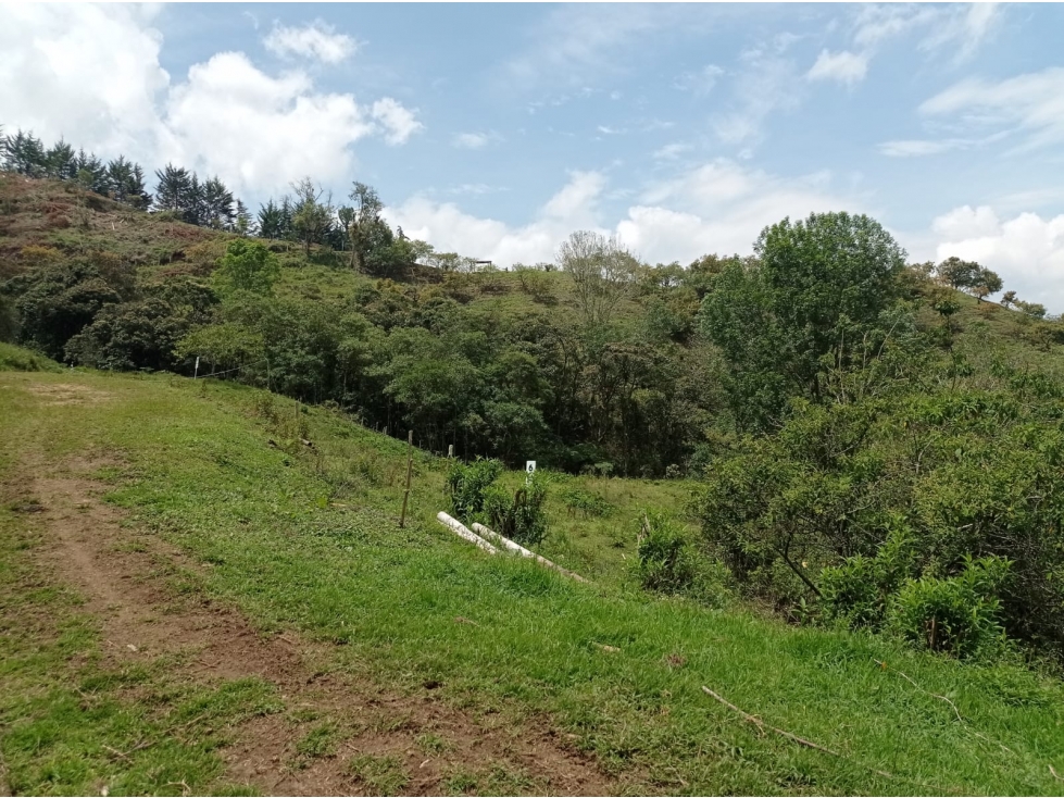 Lote en Venta Proyecto de Parcelación en El Retiro, Vía Pantanillo — foto 6