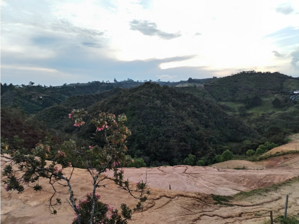 Lote en Venta de 2.884 m2 por $150.000.000 en el Porvenir San Vicente — foto 2