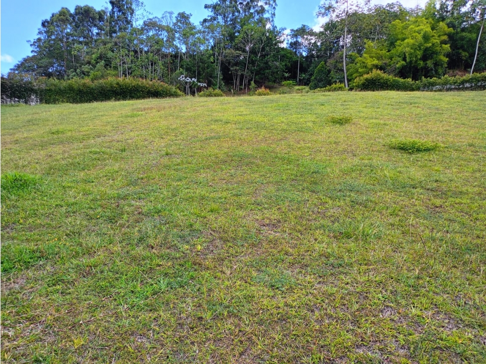 Lote en Venta en Parcelación en Llanogrande, Vía don Diego — foto 6