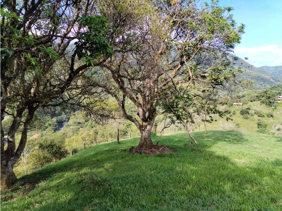 ¡Excelente Oportunidad! Lote en Venta Sector Los Cedros, CocornÃ¡ — foto 6