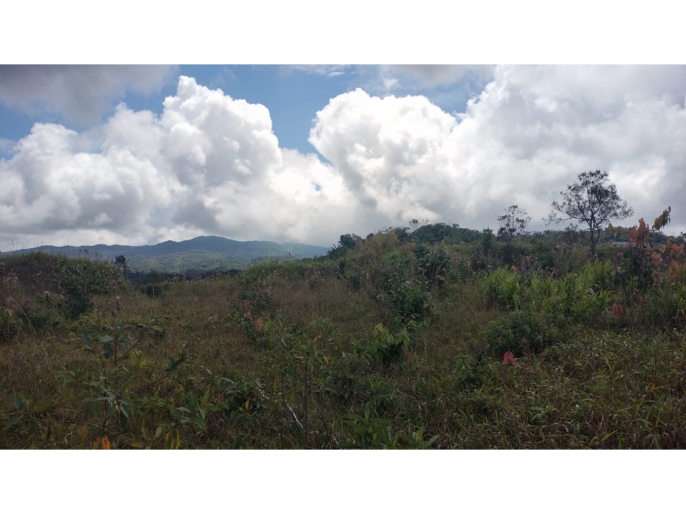 Lote en Venta con vista a La Represa, cerca a Guatapé — foto 3