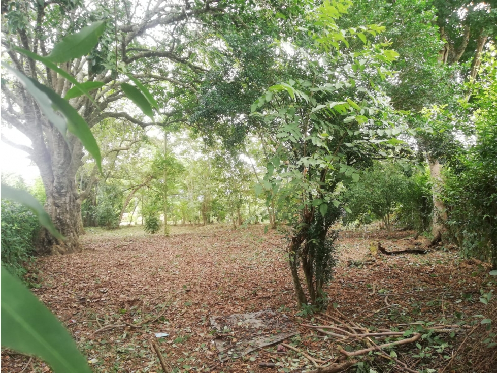 Lote en Sopetran, sector Chagual Con proyección Urbana — foto 3
