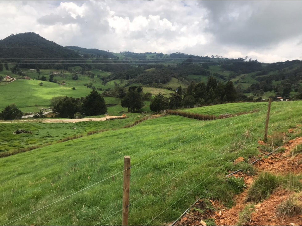 Lote en Venta en San Pedro de los Milagros Vereda La Pulgarina — foto 2