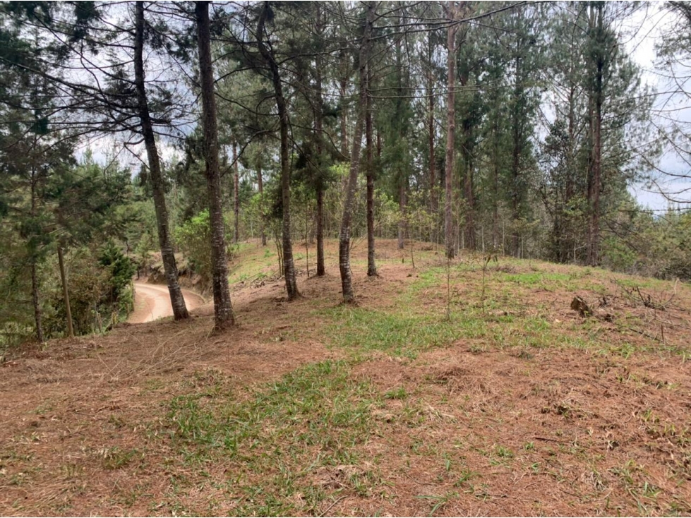 Lote en Venta Sector Lejos del Nido en el Retiro