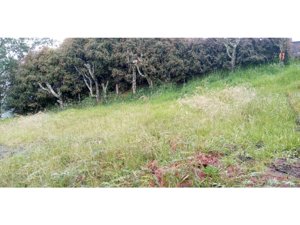 Lote en Venta Alto de las Palmas, Sector el Silencio Envigado — foto 3