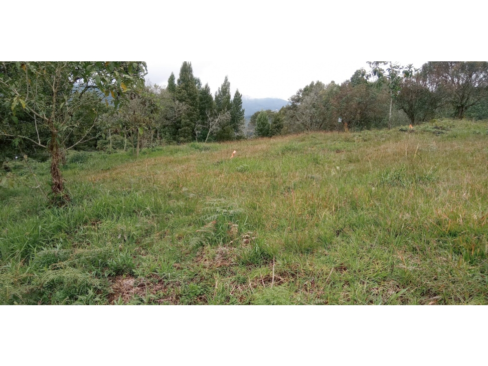 Lote en Venta Sector el Silencio Alto de las Palmas Envigado — foto 4