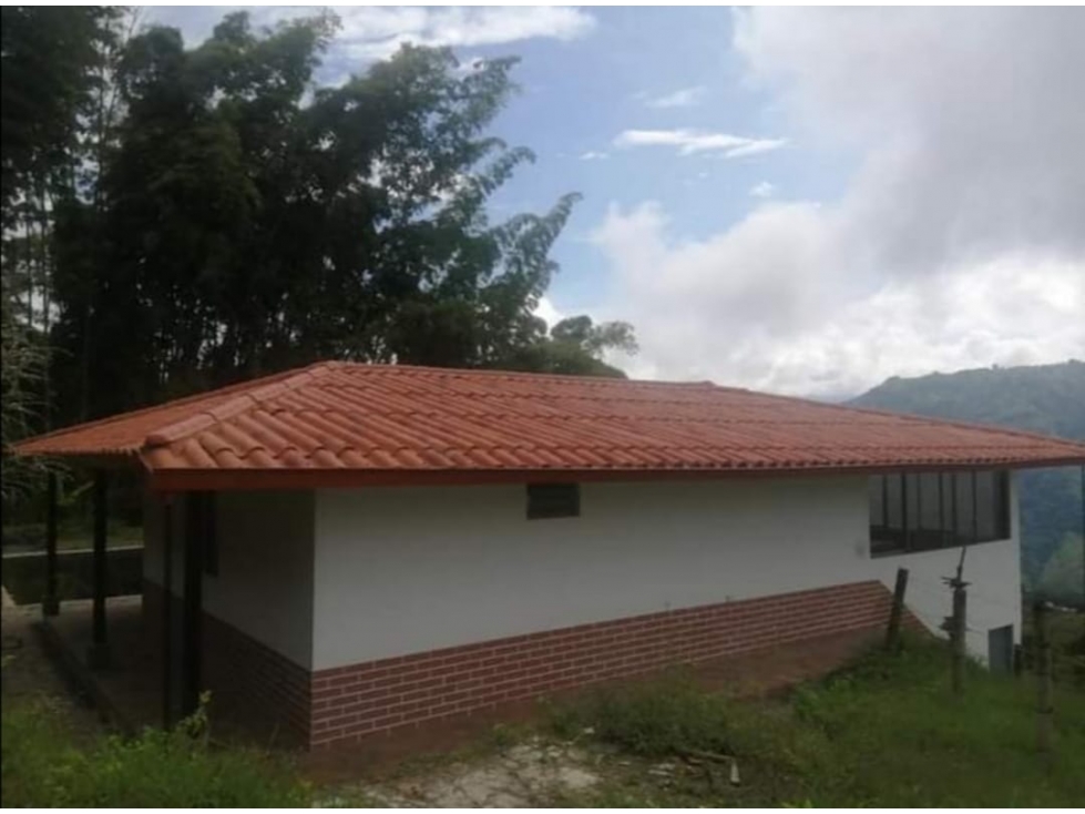 Finca en Venta en el Municipio de Filadelfia Caldas - 5