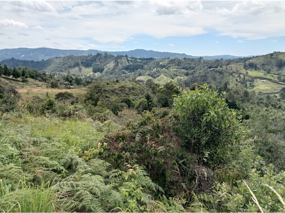 Lote en Venta con Paso de Agua, en Guarne, Vereda la Honda — foto 6