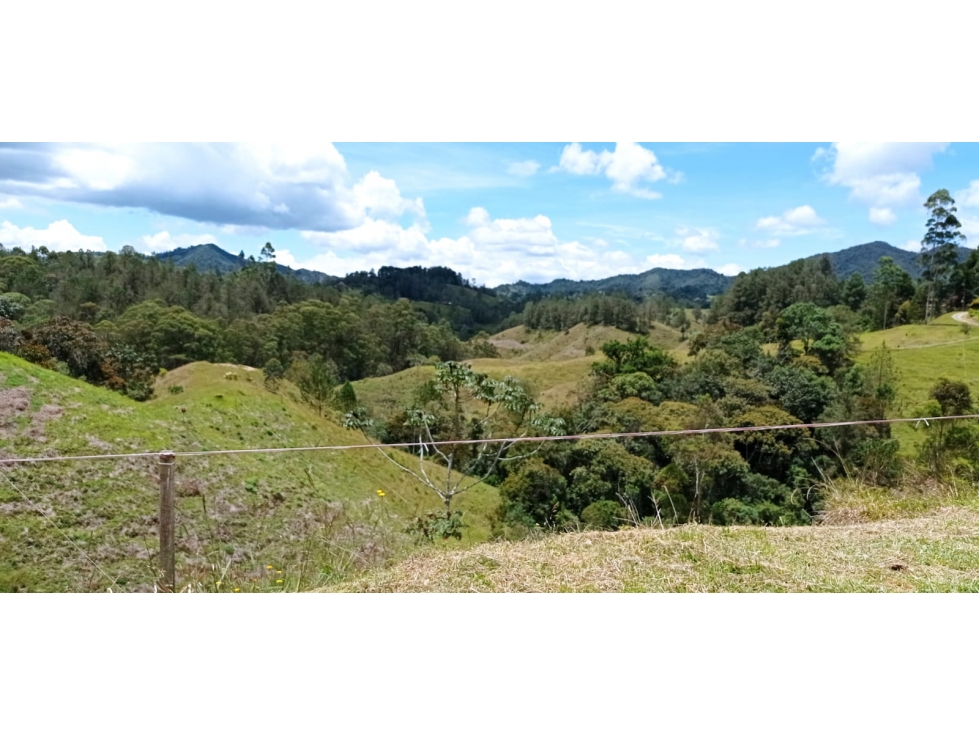 Lote en Venta Sector Pantanillo Parcelación Nueva, el Retiro — foto 4