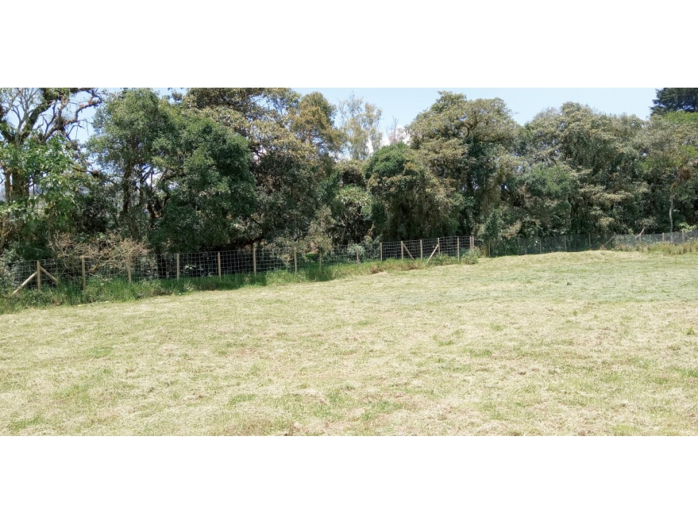 Venta de Lote Sector Envigado Alto de palmas por la Acuarela — foto 3