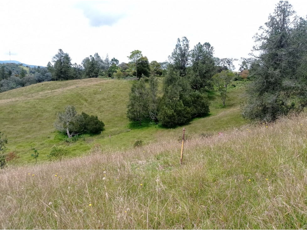 En Venta Lote en Hermosa Parcelación en el Retiro,Sector Pantanillo — foto 2