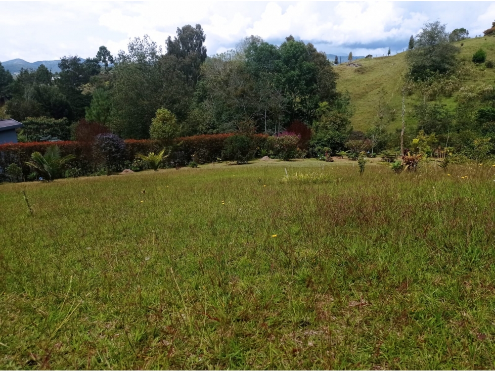 VENTA DE LOTE EN EL SECTOR PANTANILLO- SECTOR EL RETIRO