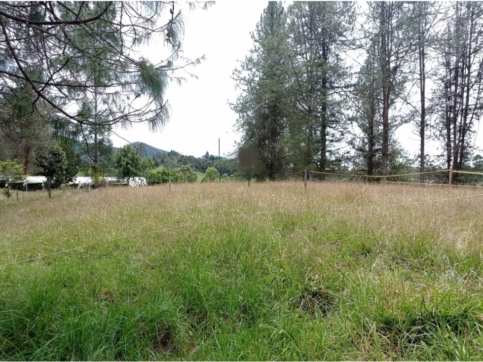 Venta Lote en Hermosa Parcelación en el Retiro, Sector Pantanillo — foto 4