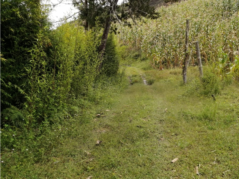 Venta de lote sector Montegrande - San Vicente — foto 5