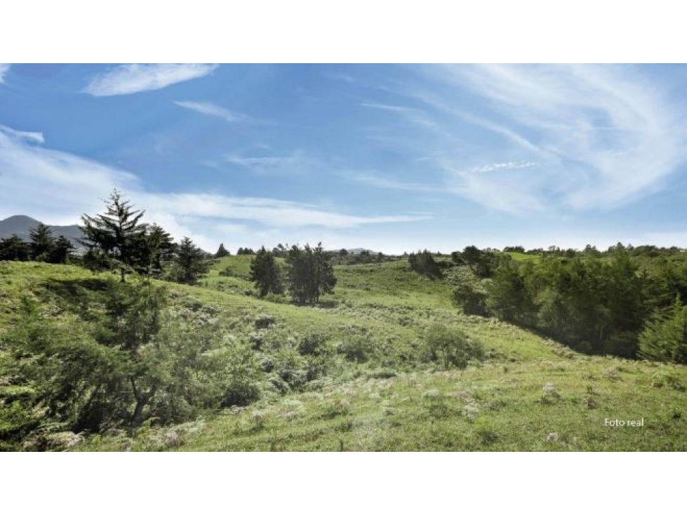 Lote en Venta Sector Aguas Claras - El Carmen de Viboral — foto 3