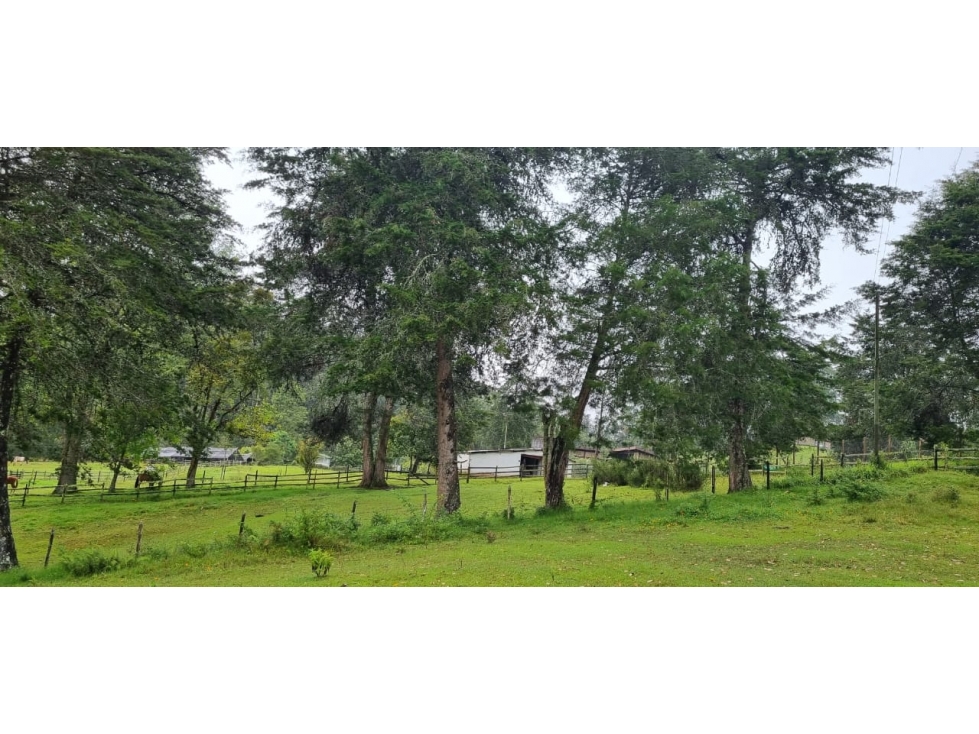 Lote en Venta Sector Pantanillo El Retiro — foto 4