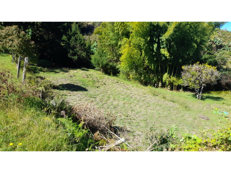 Casa Finca en Venta Sector Las Piedras, La Ceja Antioquia — foto 5