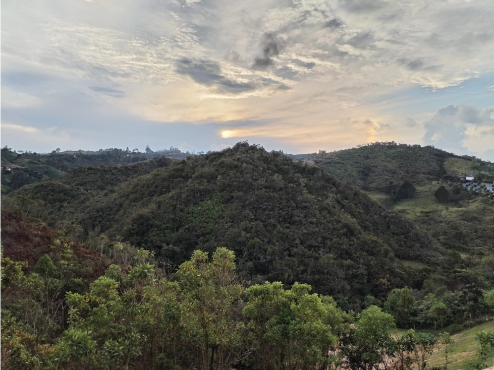 Lote en Venta de 2.884 m2 por $150.000.000 en el Porvenir San Vicente — foto 3