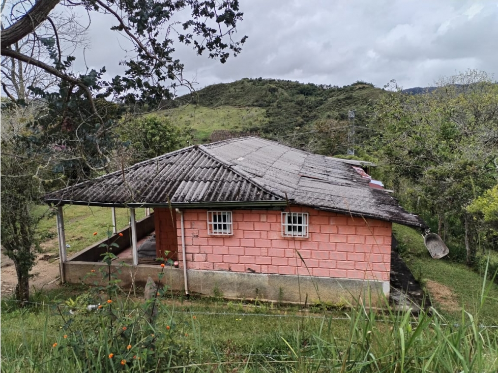 Casa Lote en Venta, Sector El Peñolcito, San Vicente — foto 4