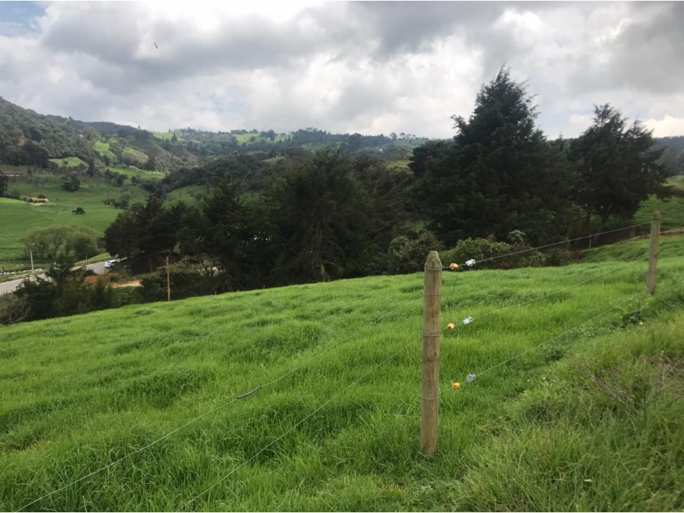 Lote en Venta en San Pedro de los Milagros Vereda La Pulgarina — foto 2