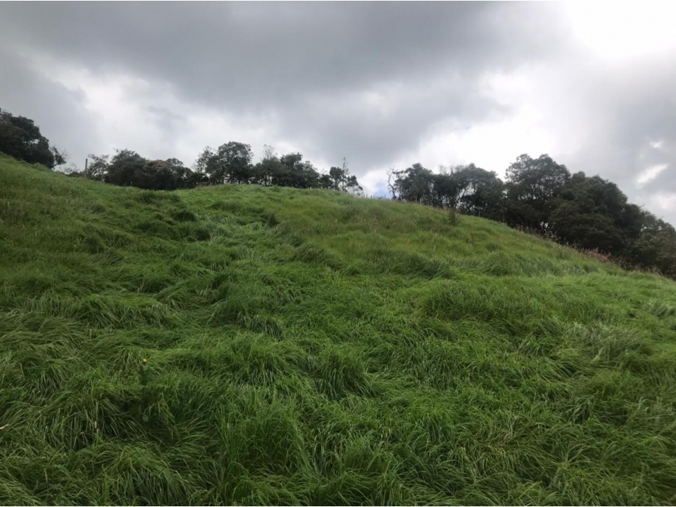 Lote en Venta Vereda La Pulgarina en San Pedro de los Milagros