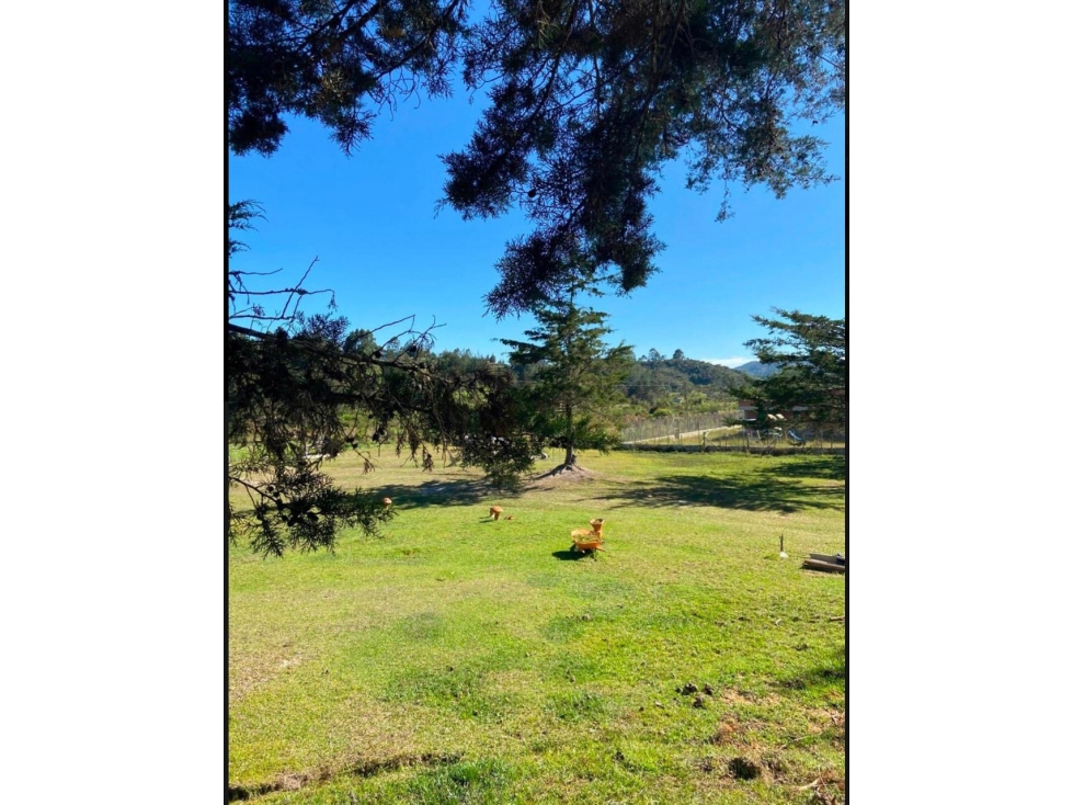 Finca en Venta vereda Ovejas en San Vicente — foto 6