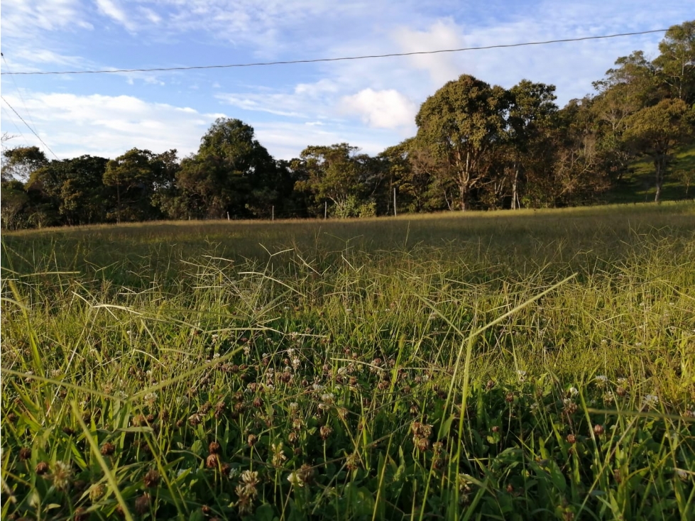 Lote en Venta Guatapé en el Sector Los Benedictinos — foto 3