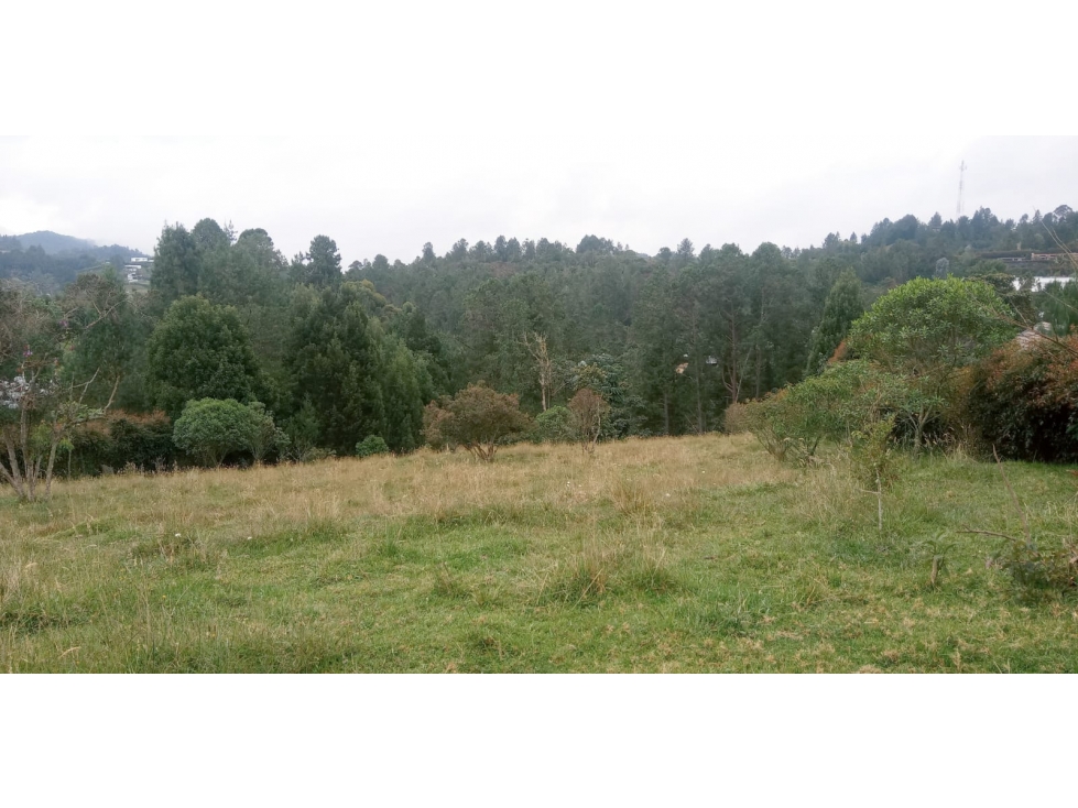 Lote en Venta en Alto de las Palmas Sector La Esperanza — foto 3