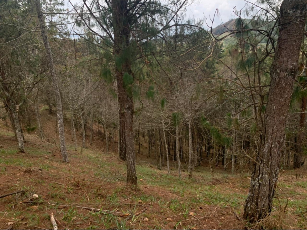Lote en Venta Sector Lejos del Nido en el Retiro — foto 4