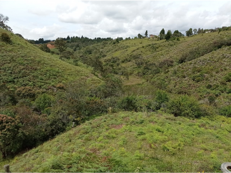Lote en Venta en Parcelación Nueva en Guarne — foto 4
