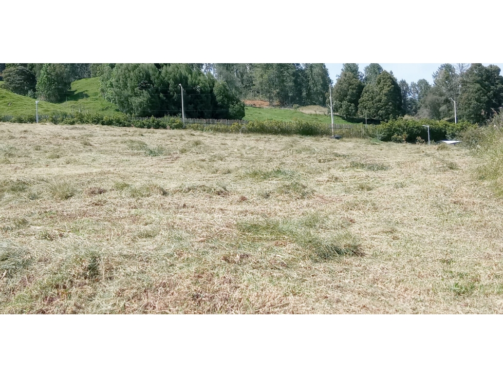 Lote en Venta Sector la Acuarela Alto de las Palmas, Envigado
