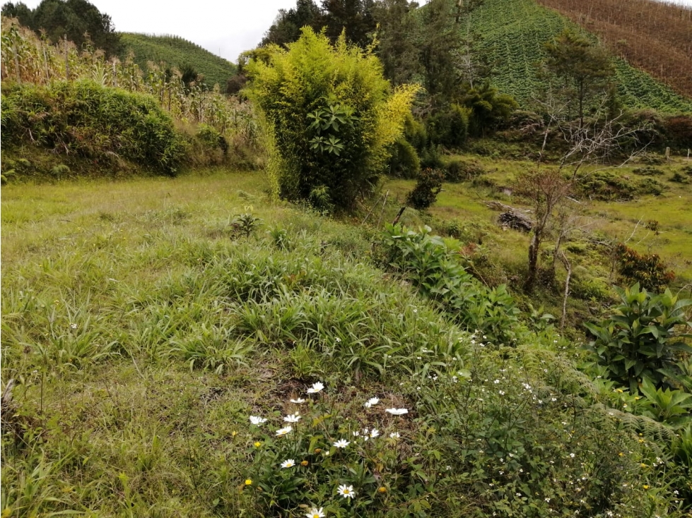 Venta de lote sector Montegrande - San Vicente — foto 6
