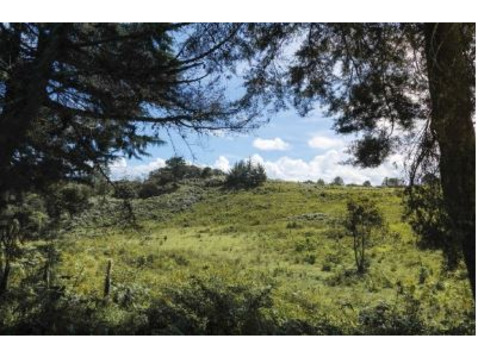 Lote en Venta Sector Aguas Claras - El Carmen de Viboral — foto 4