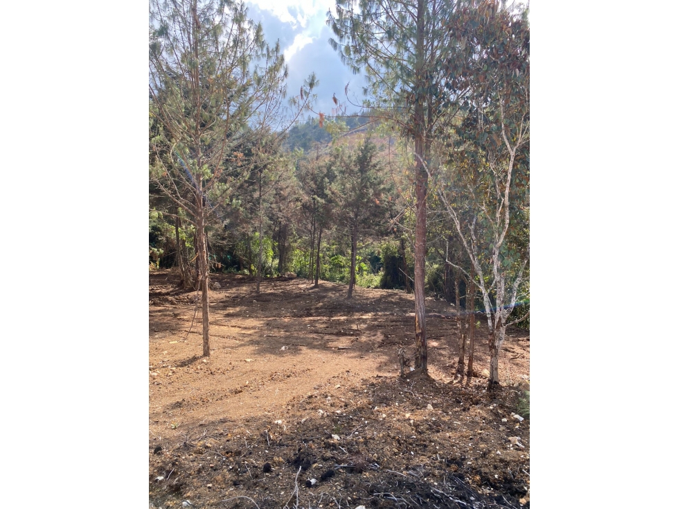 Lote en Venta en Proyecto de Parcelación en la Vía Don Diego-El Retiro — foto 4