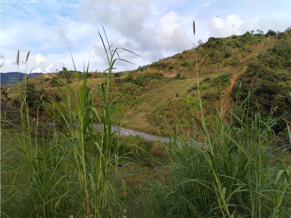 Lote con Hermosa Vista en Venta, Sector la Magdalena, San Vicente — foto 2