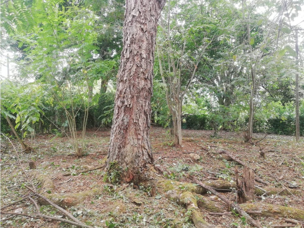 Lote en Sopetran, sector Chagual Con proyección Urbana — foto 5
