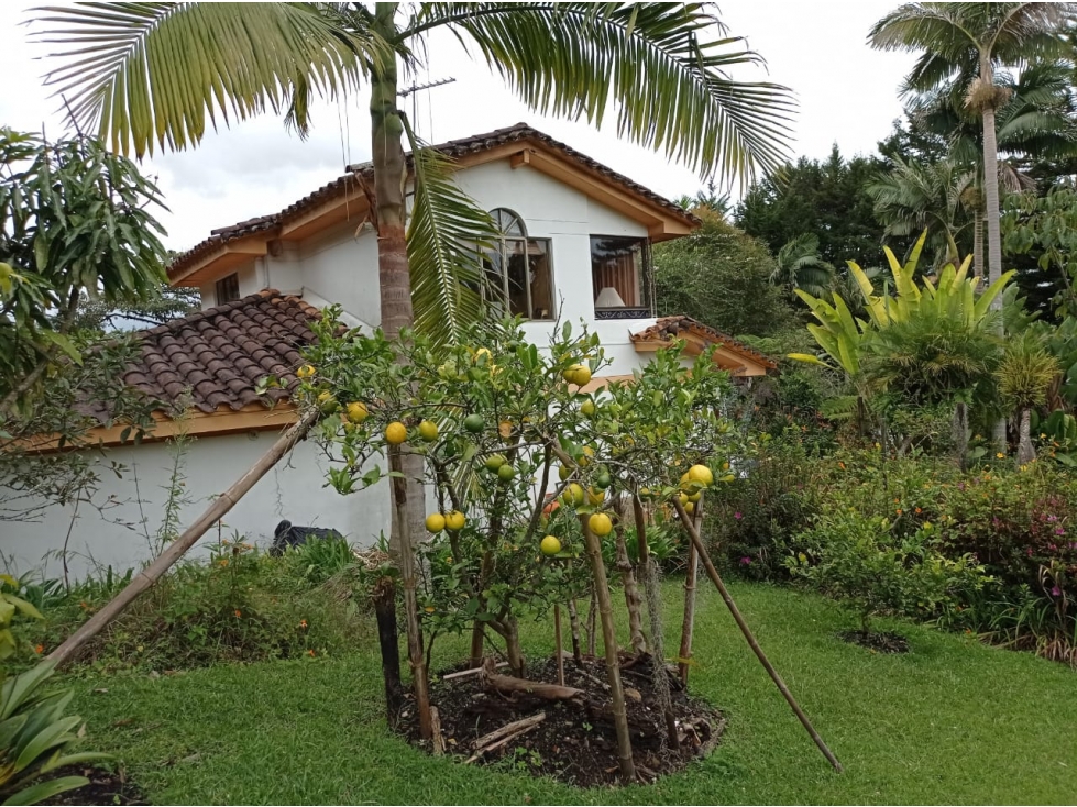 Hermosa Casa Campestre en Rionegro con Vista al Aeropuerto — foto 4