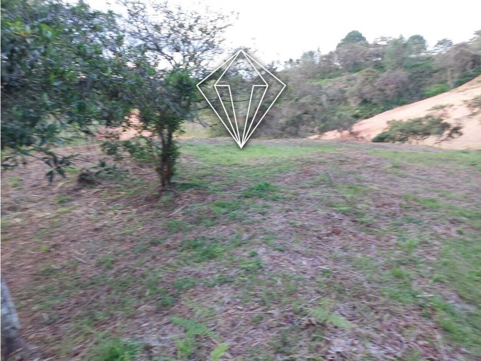 LOTE EN VENTA LA CEJA-RIONEGRO