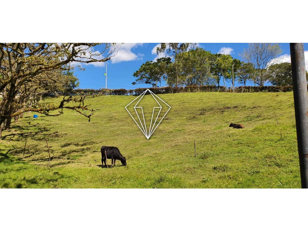 LOTE CAMPESTRE EN VENTA EN EL CARMEN DE VIBORAL — foto 2