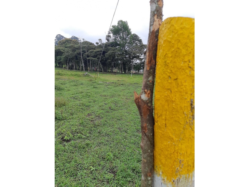 Venta de cesión de derechos lote en parecelación en La Ceja — foto 2