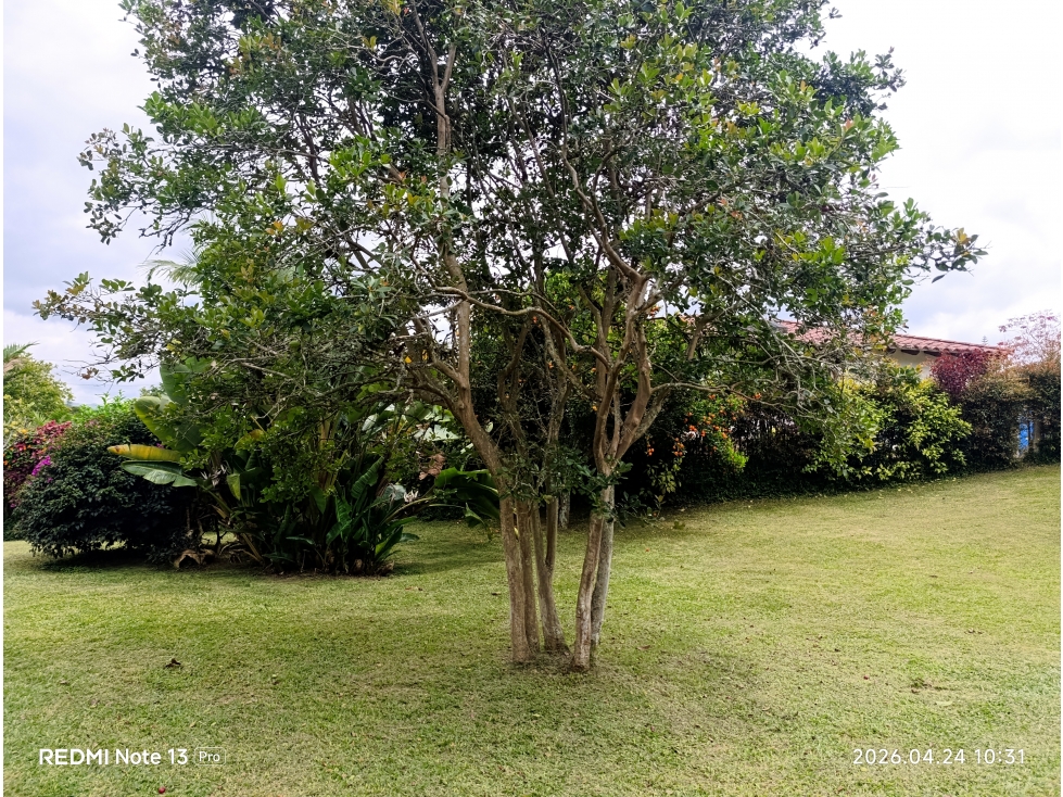 Venta de finca en Rionegro con 2 viviendas - Vd El Capiro — foto 5