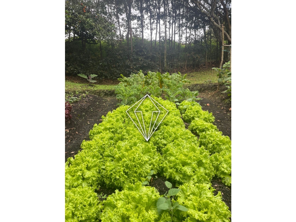 FINCA EN VENTA EN EL CARMEN DE VIBORAL ANTIOQUIA — foto 5