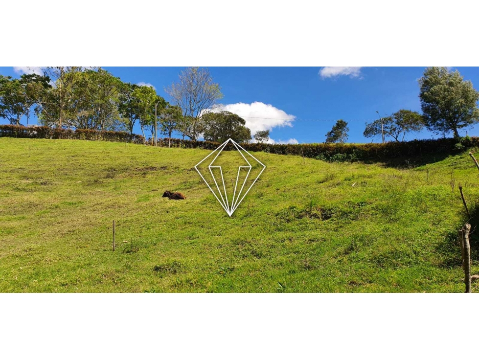 LOTE CAMPESTRE EN VENTA EN EL CARMEN DE VIBORAL — foto 3