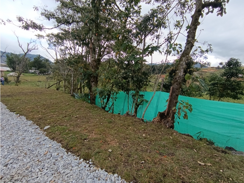 Arriendo apartamento campestre en El Carmen de Viboral — foto 5