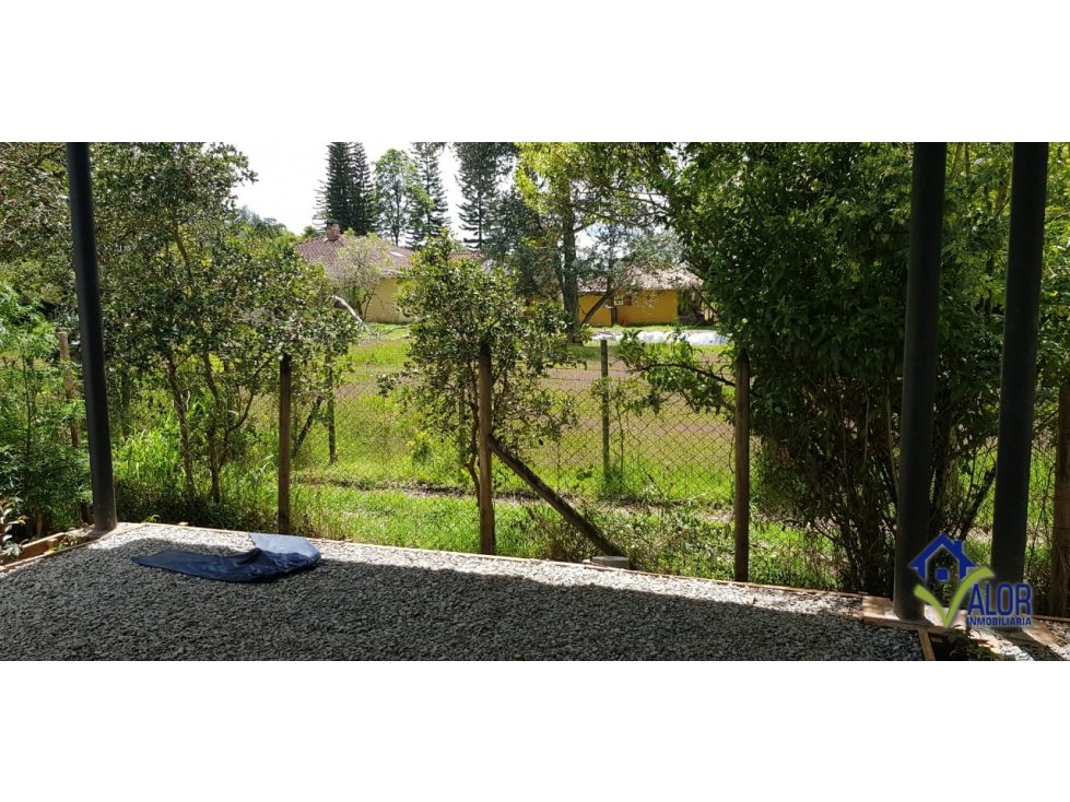 Venta Local LLano Grande - 5