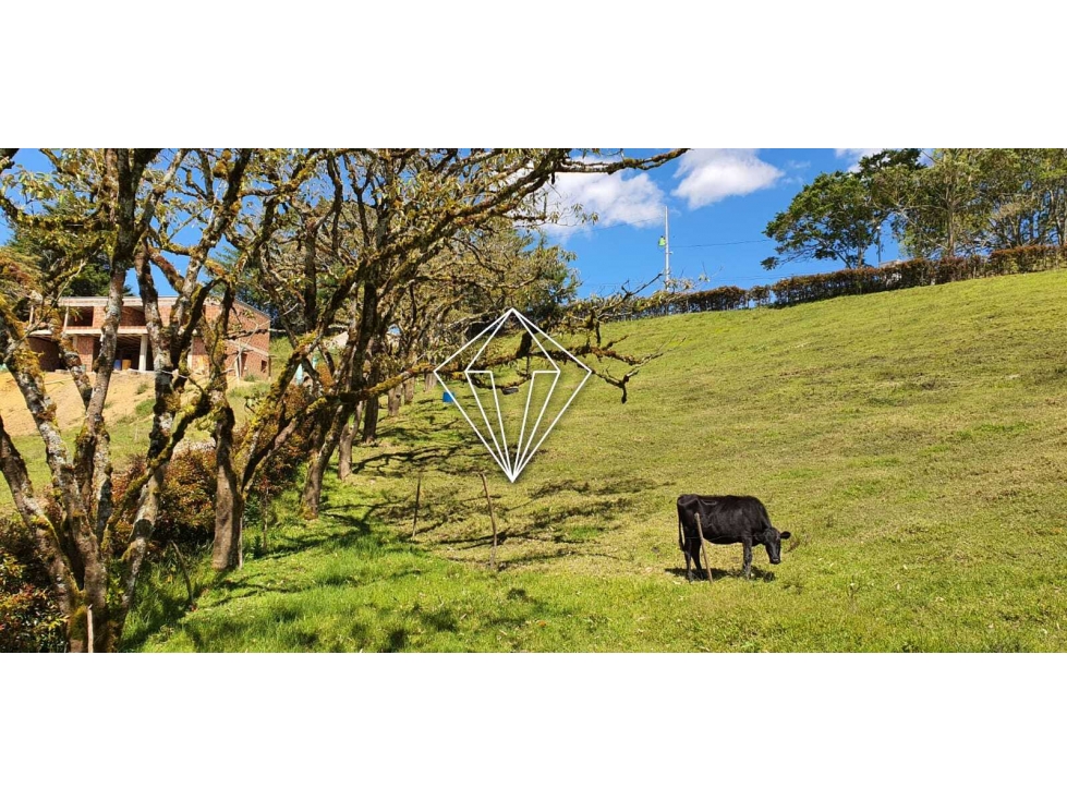 LOTE CAMPESTRE EN VENTA EN EL CARMEN DE VIBORAL — foto 5