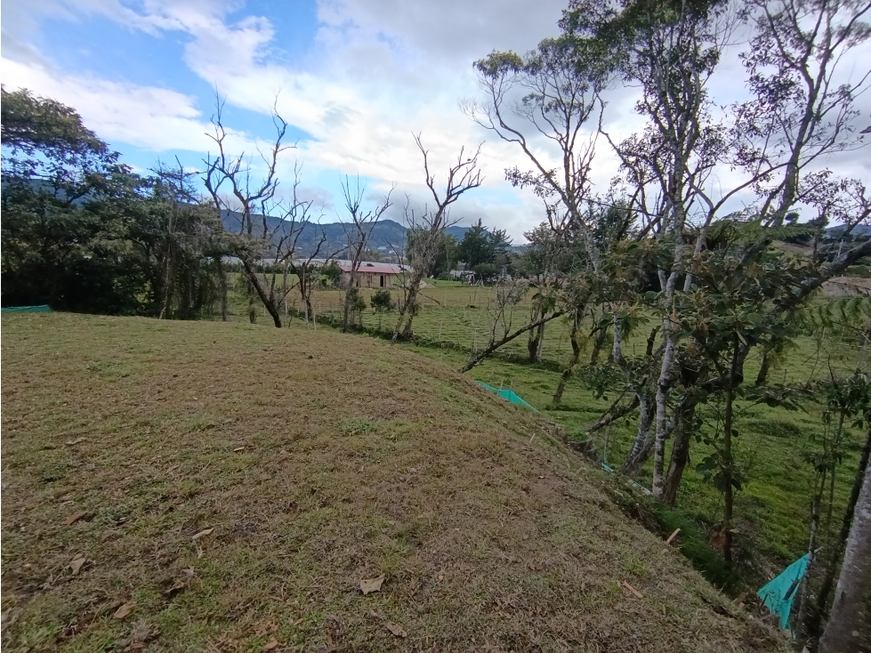 Arriendo apartamento campestre en El Carmen de Viboral — foto 6